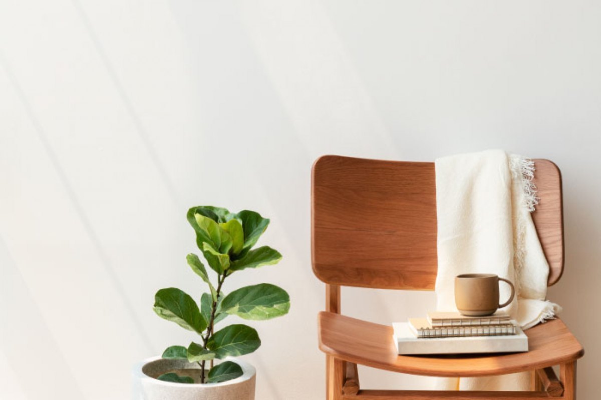 decoracao-sustentavel-gds-imobiliaria-gomes-da-silva-braga