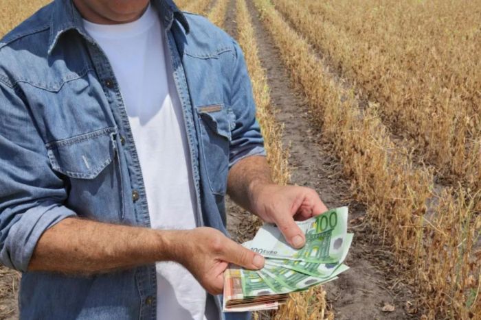 Imagem da notícia: - Há um apoio (de até 800€ por hectare) para ajudar na limpeza de terrenos